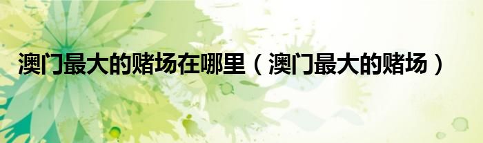 澳门最大的赌场在哪里(澳门最大的赌场)