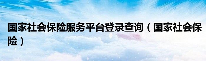 国家社会保险服务平台登录查询（国家社会保险）