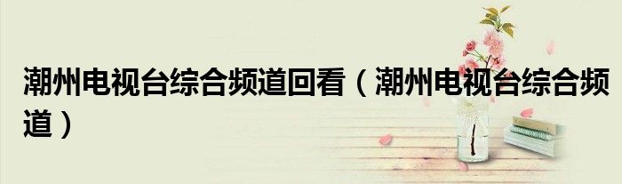 潮州电视台综合频道回看(潮州电视台综合频道)
