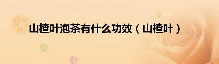 山楂叶泡茶有什么功效(山楂叶)