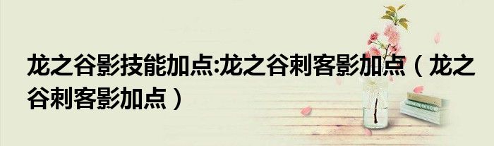 龙之谷影技能加点:龙之谷刺客影加点(龙之谷刺客影加点)