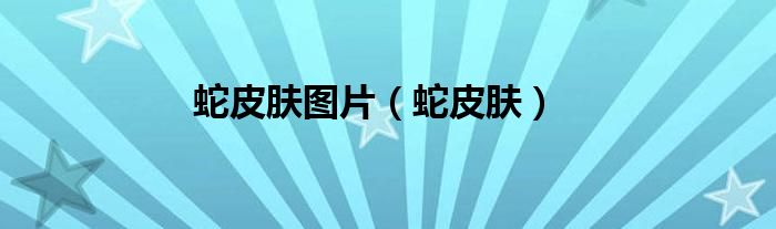 蛇皮肤图片（蛇皮肤）