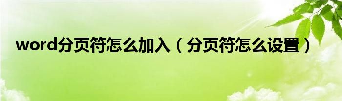 word分页符怎么加入（分页符怎么设置）