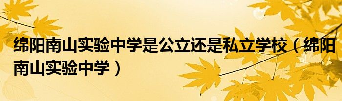 绵阳南山实验中学是公立还是私立学校(绵阳南山实验中学)