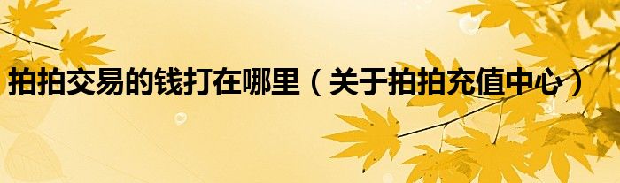 拍拍交易的钱打在哪里（关于拍拍充值中心）
