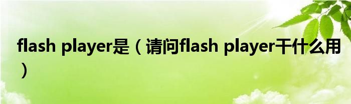 flash player是(请问flash player干什么用)