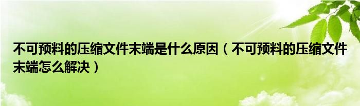 不可预料的压缩文件末端是什么原因(不可预料的压缩文件末端怎么解决)