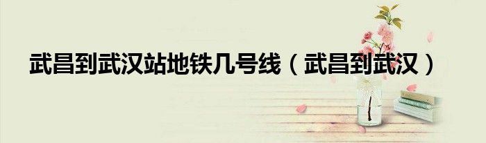 武昌到武汉站地铁几号线（武昌到武汉）