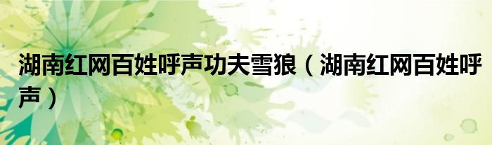 湖南红网百姓呼声功夫雪狼(湖南红网百姓呼声)