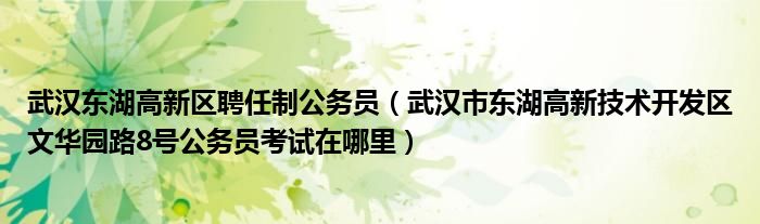 武汉东湖高新区聘任制公务员（武汉市东湖高新技术开发区文华园路8号公务员考试在哪里）