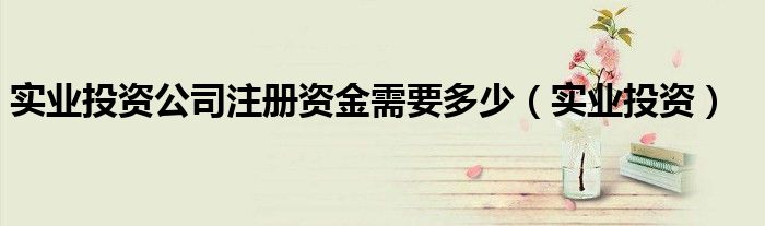 实业投资公司注册资金需要多少(实业投资)