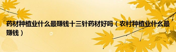药材种植业什么最赚钱十三针药材好吗(农村种植业什么最赚钱)