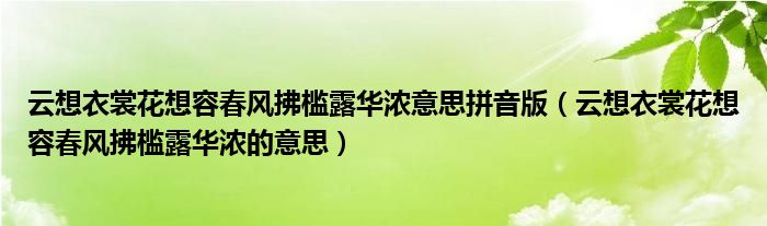 云想衣裳花想容春风拂槛露华浓意思拼音版(云想衣裳花想容春风拂槛露华浓的意思)