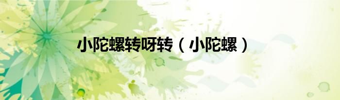 小陀螺转呀转（小陀螺）