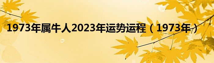 1973年属牛人2023年运势运程(1973年)