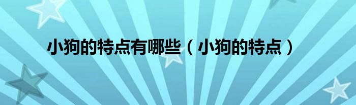 小狗的特点有哪些(小狗的特点)