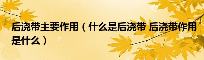 后浇带主要作用(什么是后浇带 后浇带作用是什么)