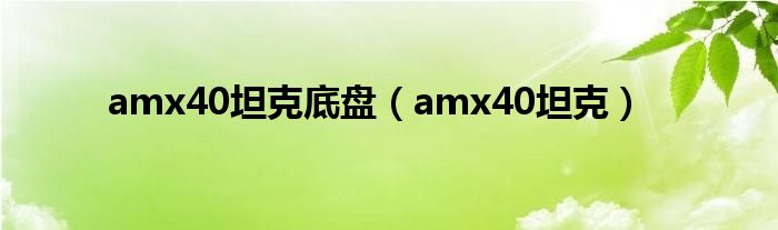 amx40坦克底盘(amx40坦克)