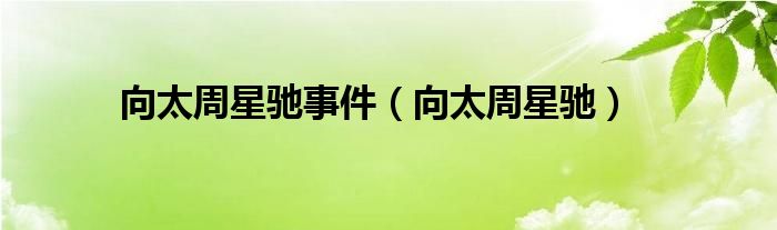 向太周星驰事件（向太周星驰）