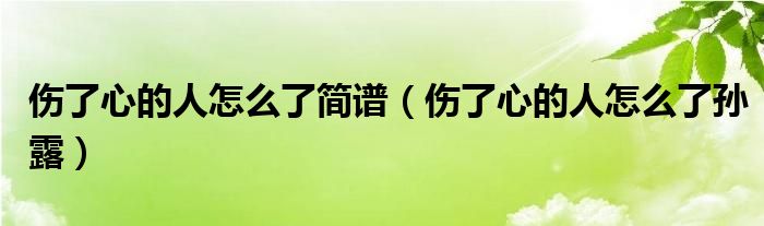 伤了心的人怎么了简谱(伤了心的人怎么了孙露)