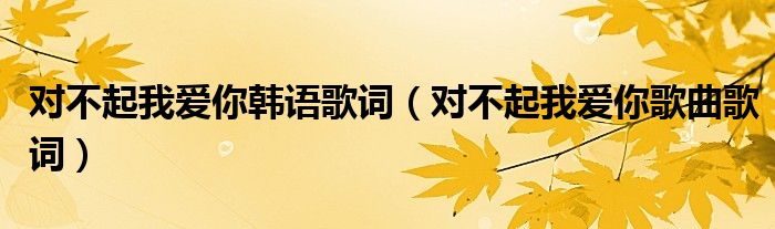 对不起我爱你韩语歌词(对不起我爱你歌曲歌词)