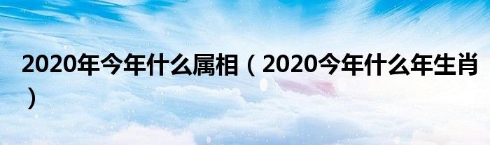 2020年今年什么属相（2020今年什么年生肖）