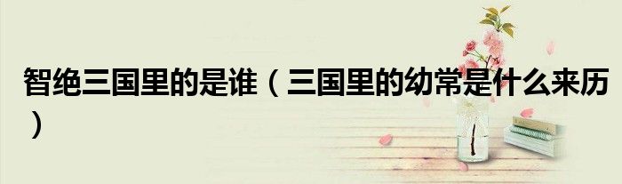 智绝三国里的是谁(三国里的幼常是什么来历)