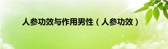 人参功效与作用男性(人参功效)