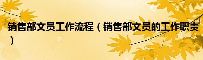 销售部文员工作流程(销售部文员的工作职责)