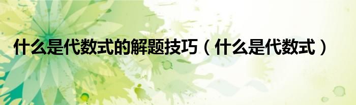 什么是代数式的解题技巧(什么是代数式)