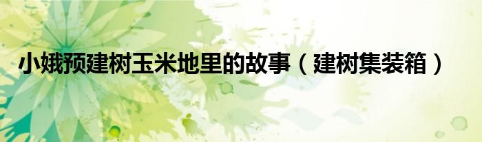 小娥预建树玉米地里的故事(建树集装箱)