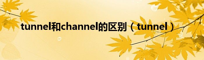 tunnel和channel的区别(tunnel)