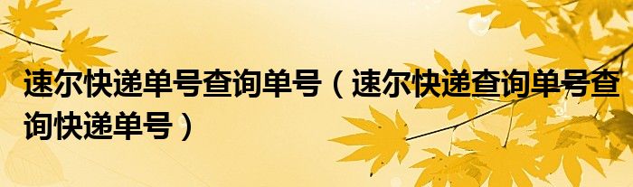 速尔快递单号查询单号(速尔快递查询单号查询快递单号)