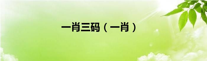 一肖三码（一肖）