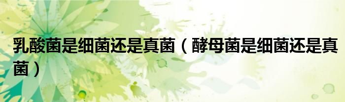 乳酸菌是细菌还是真菌(酵母菌是细菌还是真菌)