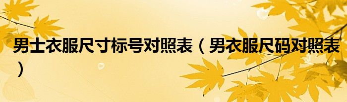 男士衣服尺寸标号对照表(男衣服尺码对照表)
