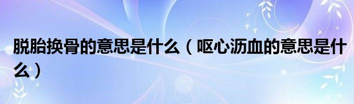 脱胎换骨的意思是什么(呕心沥血的意思是什么)