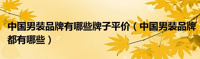 中国男装品牌有哪些牌子平价(中国男装品牌都有哪些)