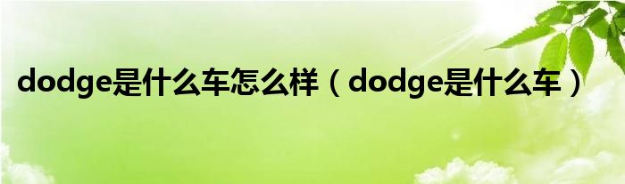 dodge是什么车怎么样(dodge是什么车)