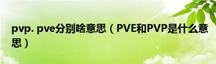 pvp. pve分别啥意思(PVE和PVP是什么意思)