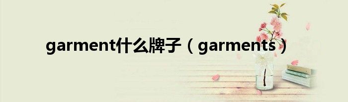 garment什么牌子(garments)