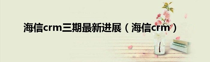 海信crm三期最新进展(海信crm)