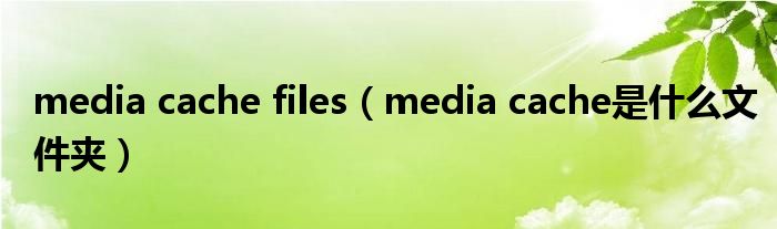 media cache files(media cache是什么文件夹)