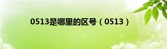 0513是哪里的区号(0513)