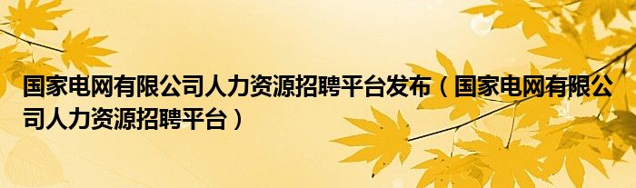 国家电网有限公司人力资源招聘平台发布（国家电网有限公司人力资源招聘平台）