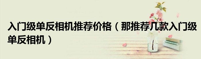入门级单反相机推荐价格(那推荐几款入门级单反相机)