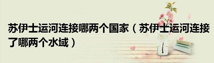 苏伊士运河连接哪两个国家（苏伊士运河连接了哪两个水域）
