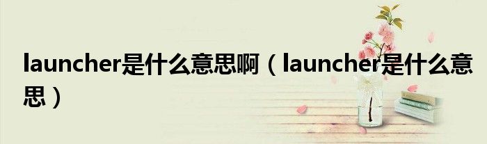 launcher是什么意思啊(launcher是什么意思)