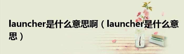 launcher是什么意思啊（launcher是什么意思）