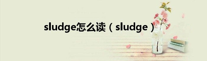 sludge怎么读(sludge)